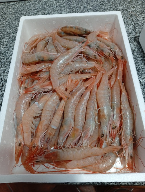 Pack Aperitivo Gourmet